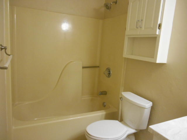 SUMMER TREE - Residential