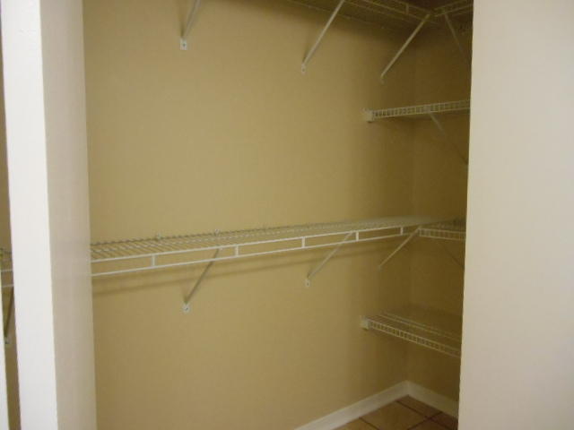 SUMMER TREE - Residential