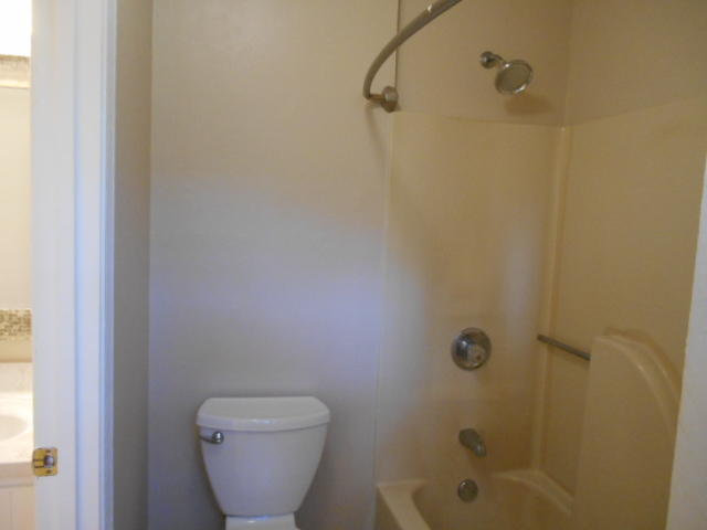 SUMMER TREE - Residential