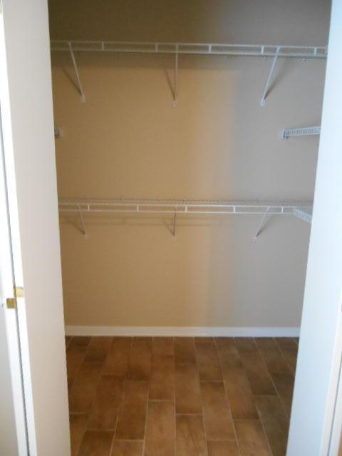 SUMMER TREE - Residential