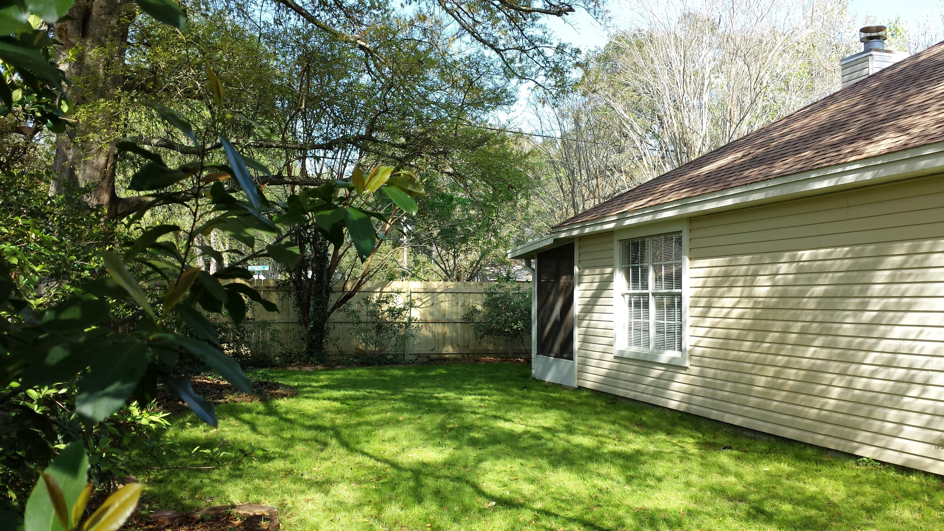 SUMMER TREE - Residential