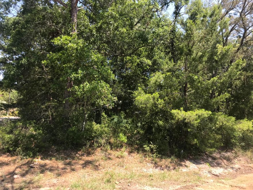Corner Lot with water view. Directly across CR2311 from High Point Park and boat ramp. Able to construct dream home with driveway off the main thoroughfare.