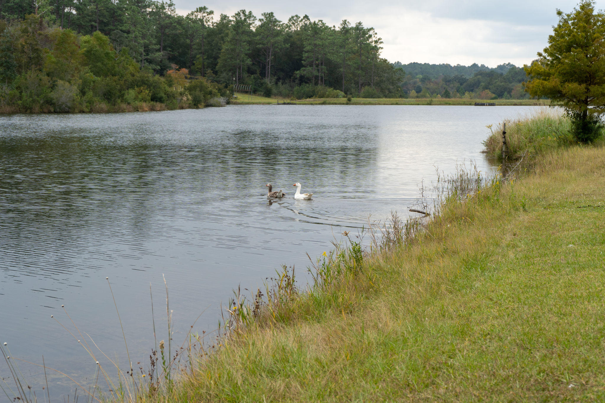 KENNEDY LAKES 1ST ADDN - Farm