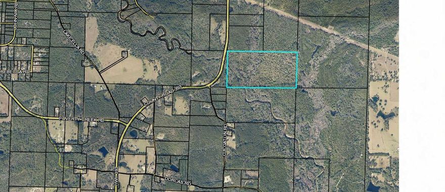 Vacant Land with endless possibilities to build your ranch or lodge located in the North end of Okaloosa County. Almost 80 acres of some wooded and some cleared land at approximately $3500 per acre. There are creeks that run through the property.