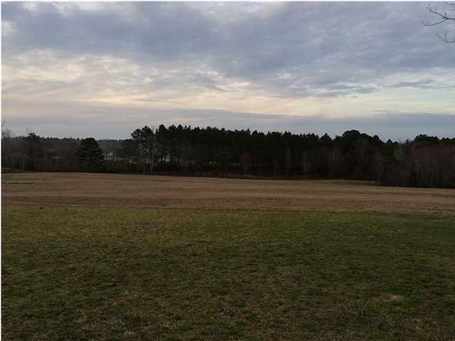 ESCAMBIA FARMS - Residential