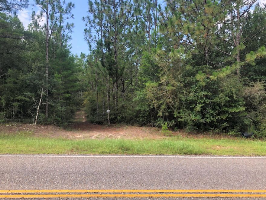 Looking for a property to build your Dream Home? Maybe looking for that spot that would be perfect to build your home to raise your children or for your Grand Children to come make memories? This is your opportunity to have that perfect place.  Wooded parcel mostly covered in 20+ year old planted pines and native hardwoods. Located on Hinote Rd, a county maintained paved road with community water available. Very easy commute to Defuniak Springs, Crestview, Niceville and Eglin AFB.  Don't wait to long, as Mossy Head is a very popular area and this will not last long.
