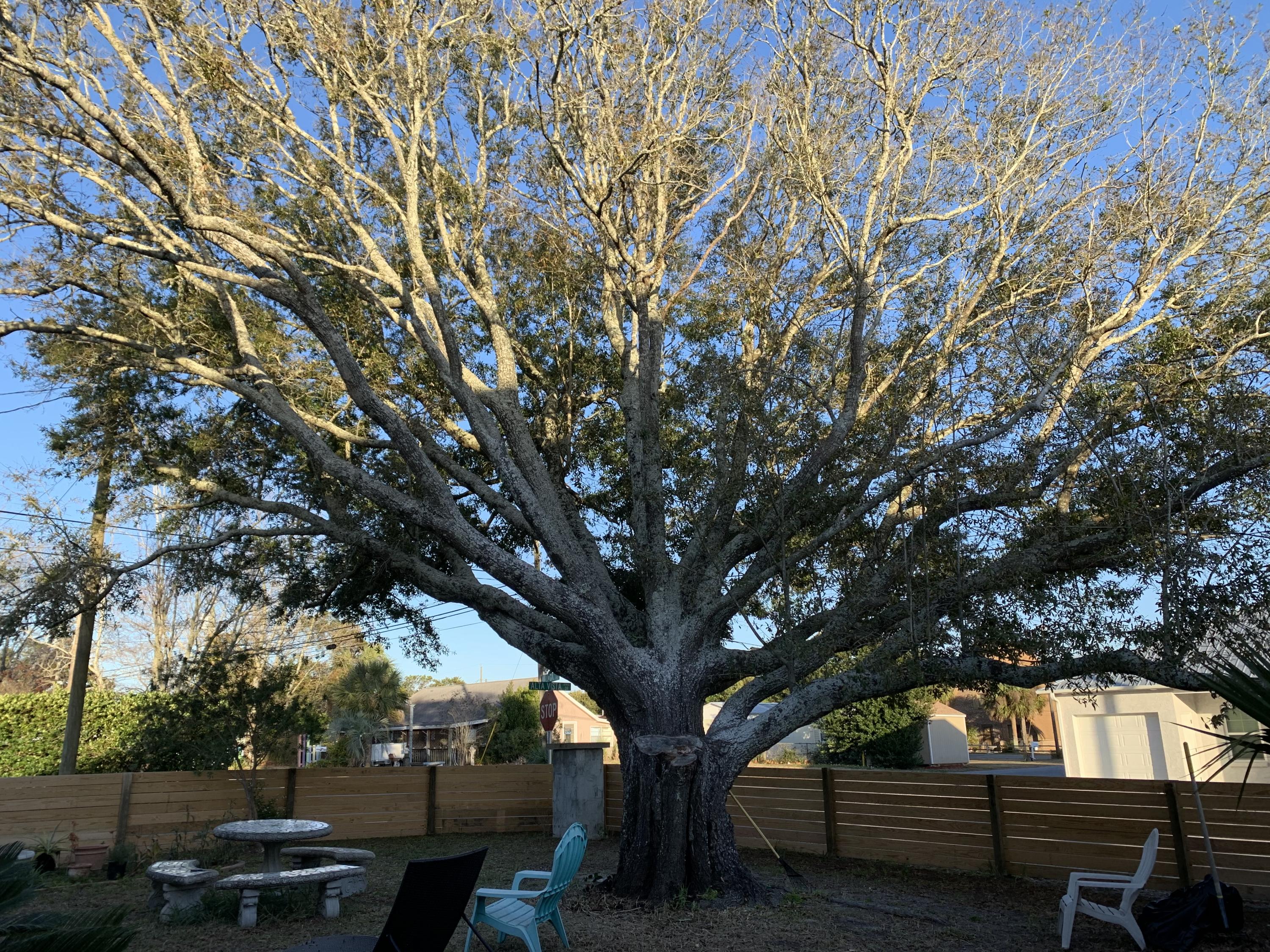 LAGUNA BEACH 5TH ADDN - Residential