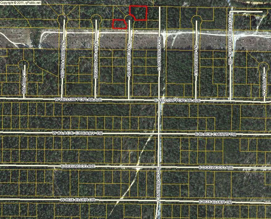 Lot is not clearly marked. Dirt road to property. There are 3 lots under the parcel ID and each lot is sold individually for $2500 each. Can buy all 3 lots for $7500