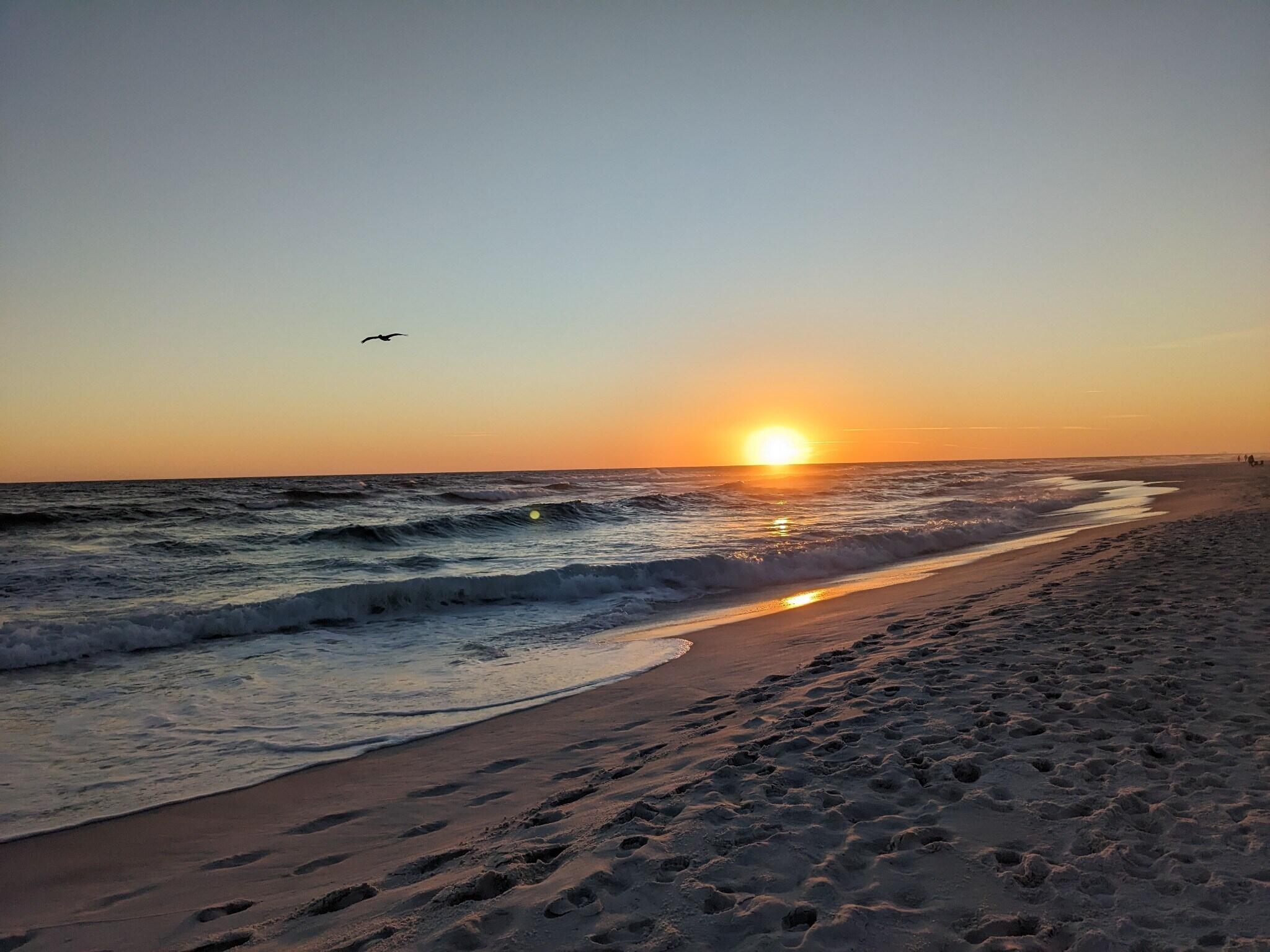 ISLANDER BEACH RESORT CONDO - Residential