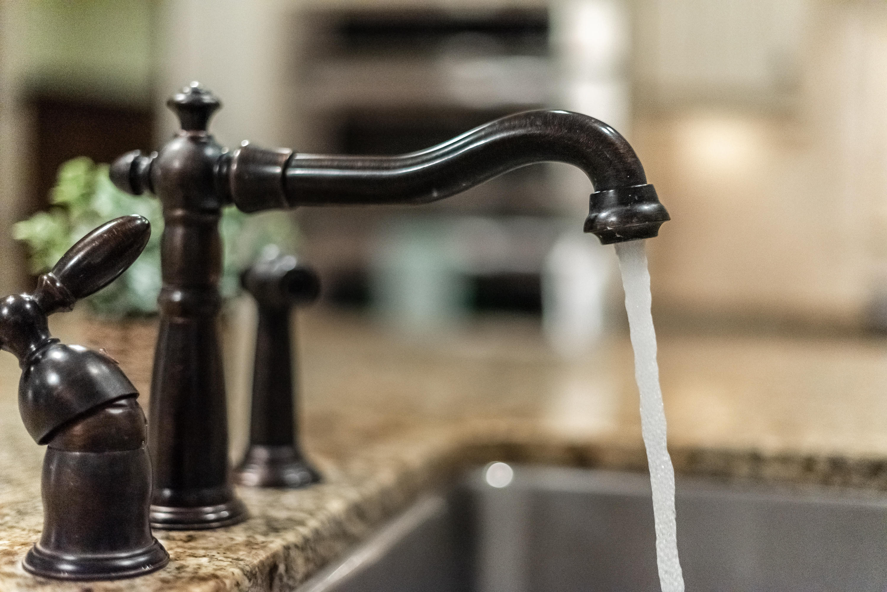 INLET BEACH - Residential