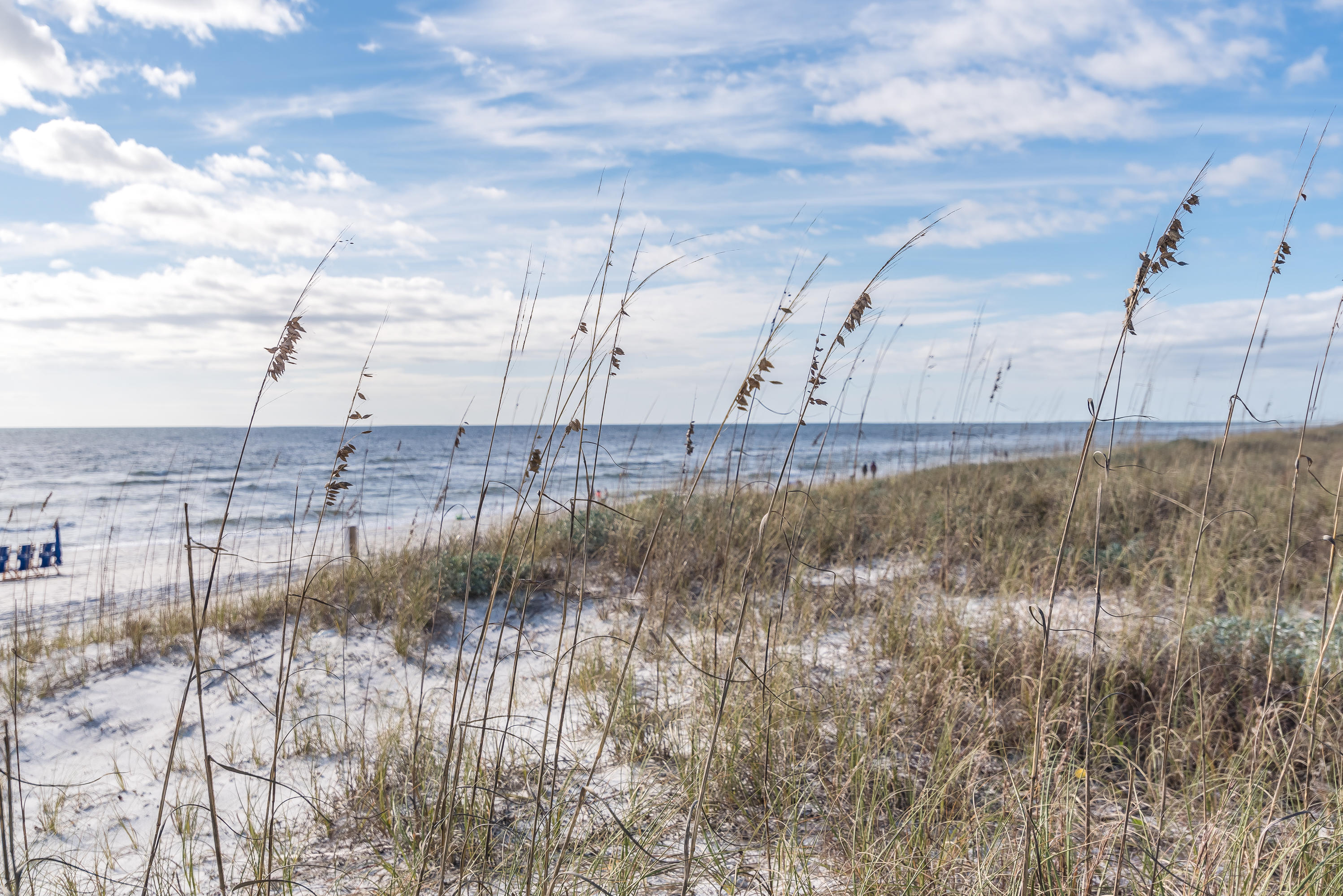 INLET BEACH - Residential