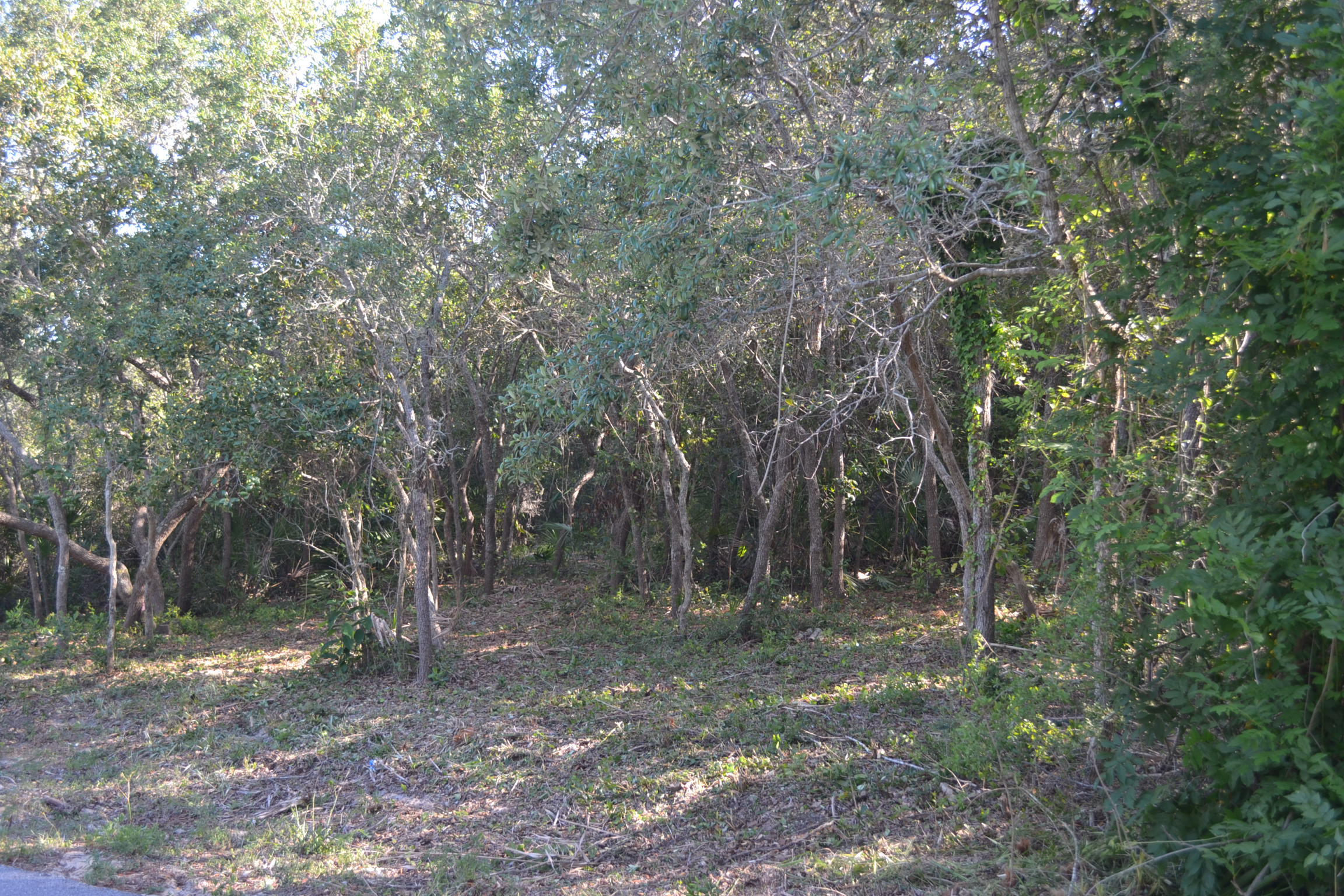 BEACH HIGHLAND 1ST ADD - Land