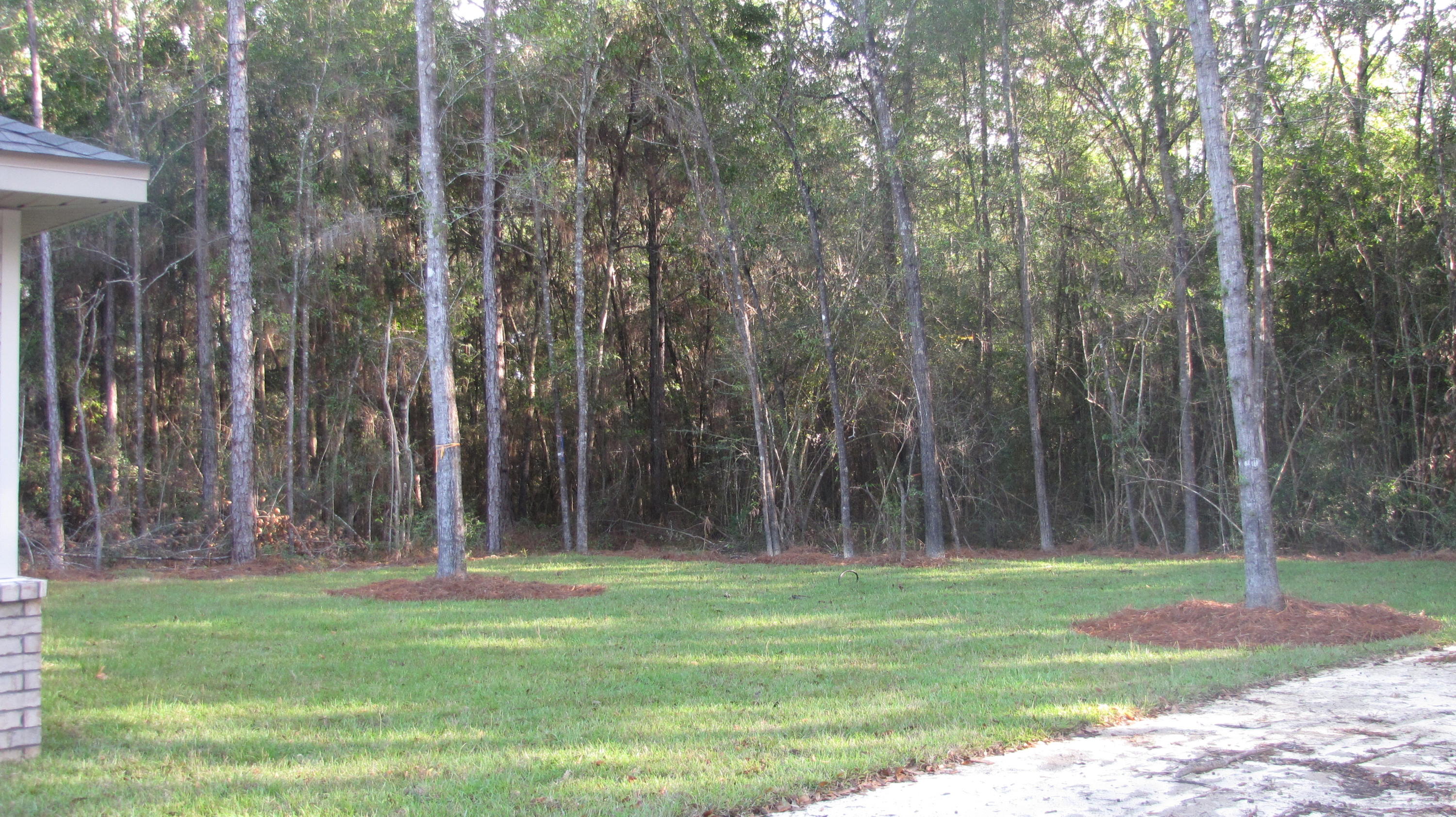 MORRIS ADD - Residential