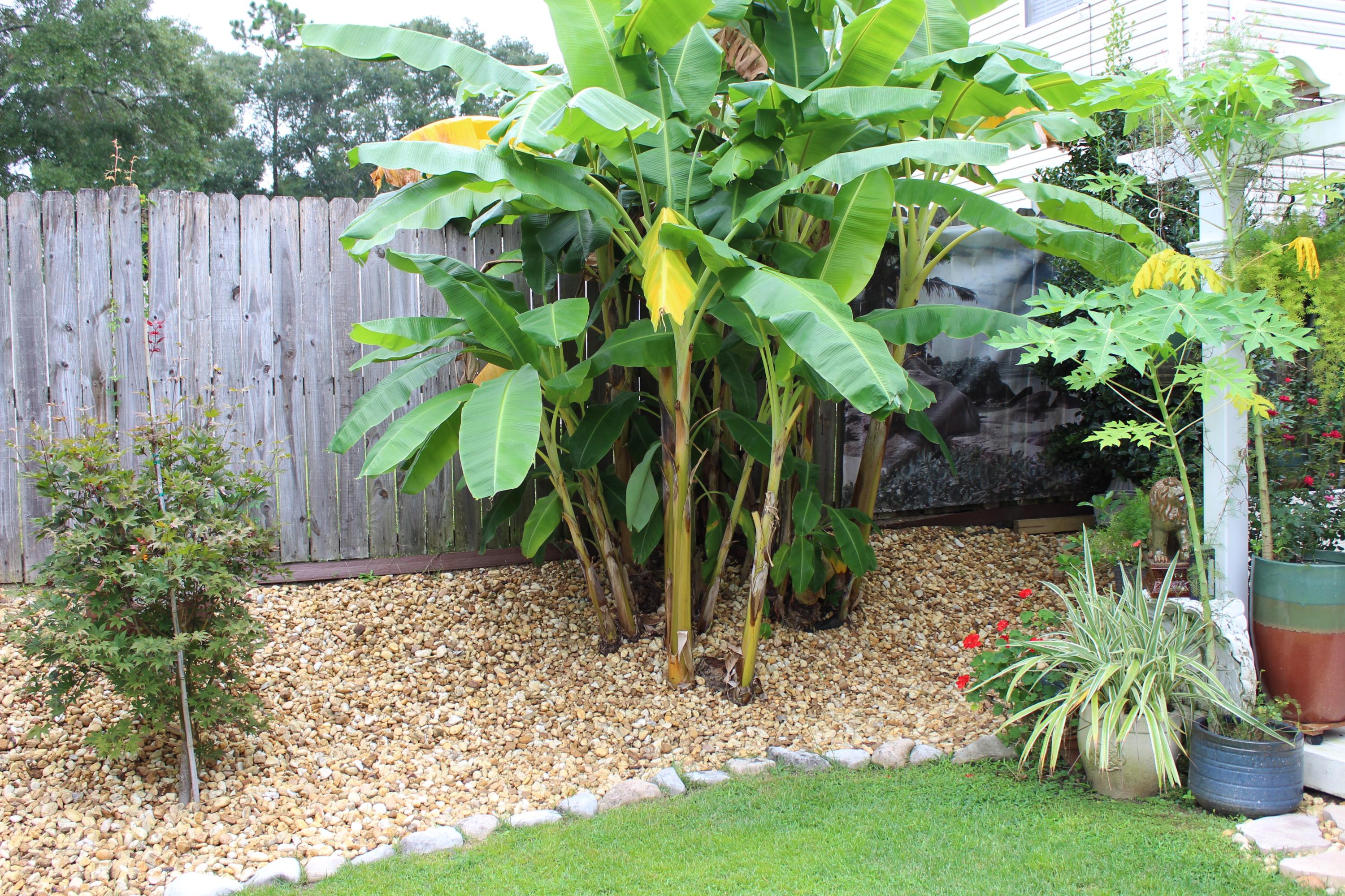 SHILOH PLACE TOWNHOMES - Residential