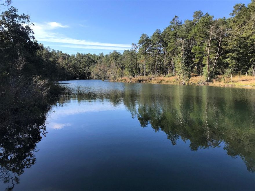 Beautiful Lakefront Home on Over 1 Acre! Kayak on the lake or enjoy the view with a cup of coffee. Close to downtown Crestview, this lovely 3 bedroom / 2.5 bathroom home features a separate office that could be converted to a 4th bedroom. The eat-in kitchen boasts granite countertops, pantry, and breakfast bar. The large living room features hardwood flooring, vaulted ceilings, built-in cabinetry, and large picture windows overlooking the lake. The huge master bedroom features treyed ceilings and two large walk-in closets. Adjacent to the master bedroom, the master bath has a garden tub, walk-in shower, and dual vanities. Also included with this home is a large shed/workshop and RV carport.