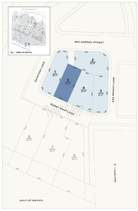 Photo of TBD Buggy Whip Lane, Inlet Beach, FL 32461 (MLS # 981028)