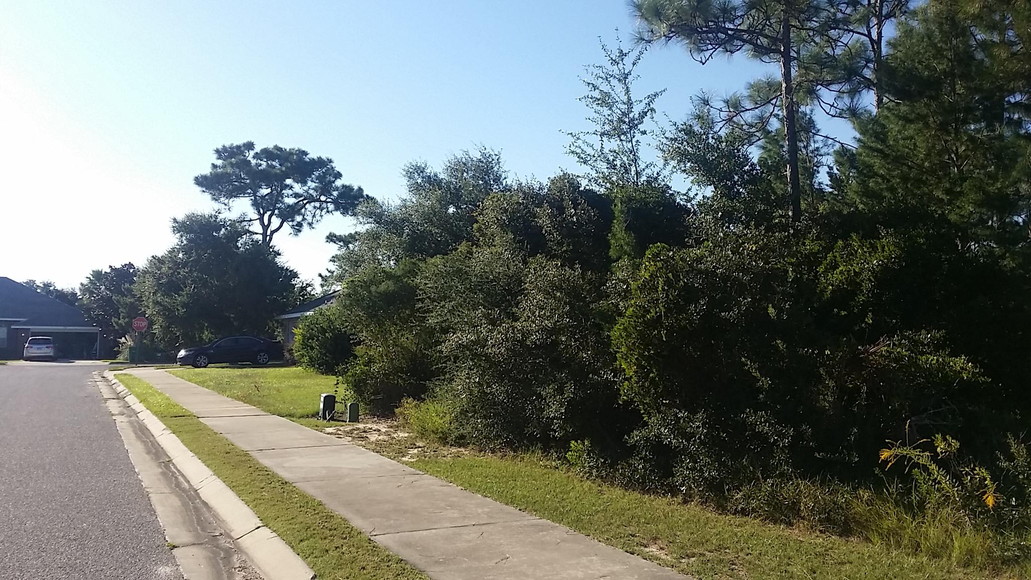 .28 Acres of unregulated uplands for building. Located in the beautiful subdivision of Woodlawn Heights with underground utilities, this vacant lot is the perfect place to build a dream home for your family. This lot is one of the largest in the subdivision and is located next to the association nature area. Wonderful schools are not far from the subdivision, making it an easy commute without the traffic and sounds of a busy area.