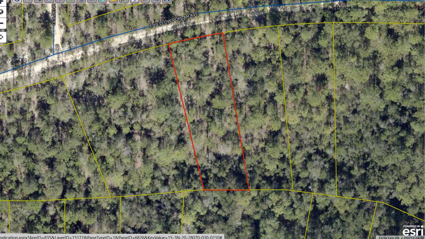 Wood lot in DeFuniak Springs FL and Mossyhead. No HOA. Minimal Restrictions. Modular homes allowed. There are no existing utilities. Well/Power/Septic required. Property is Flood Zone X. Per the Walton GIS mapping, the property does not appear to have wetlands. Easy access to the I-10 & CR 285 south making it a great location for work no matter what direction you need to go! You will be approx. 30-45 mins to most workplaces as as well as the beautiful white sandy beaches of Florida famous Emerald Gulf Coast and Crab Island. Buyer needs to verify building codes, zoning regulations, wetlands and flood zones, etc with proper local authorities to ensure buyer will be able to utilize the property for intended use. Information contained within this listing is deemed to be accurate but is not guaranteed.
Wood lot in DeFuniak Springs FL and Mossyhead. No HOA. Minimal Restrictions. Modular homes allowed. 

There are no existing utilities. Well/Power/Septic required. Property is Flood Zone X. Per the Walton GIS mapping, the property does not appear to have wetlands. 
