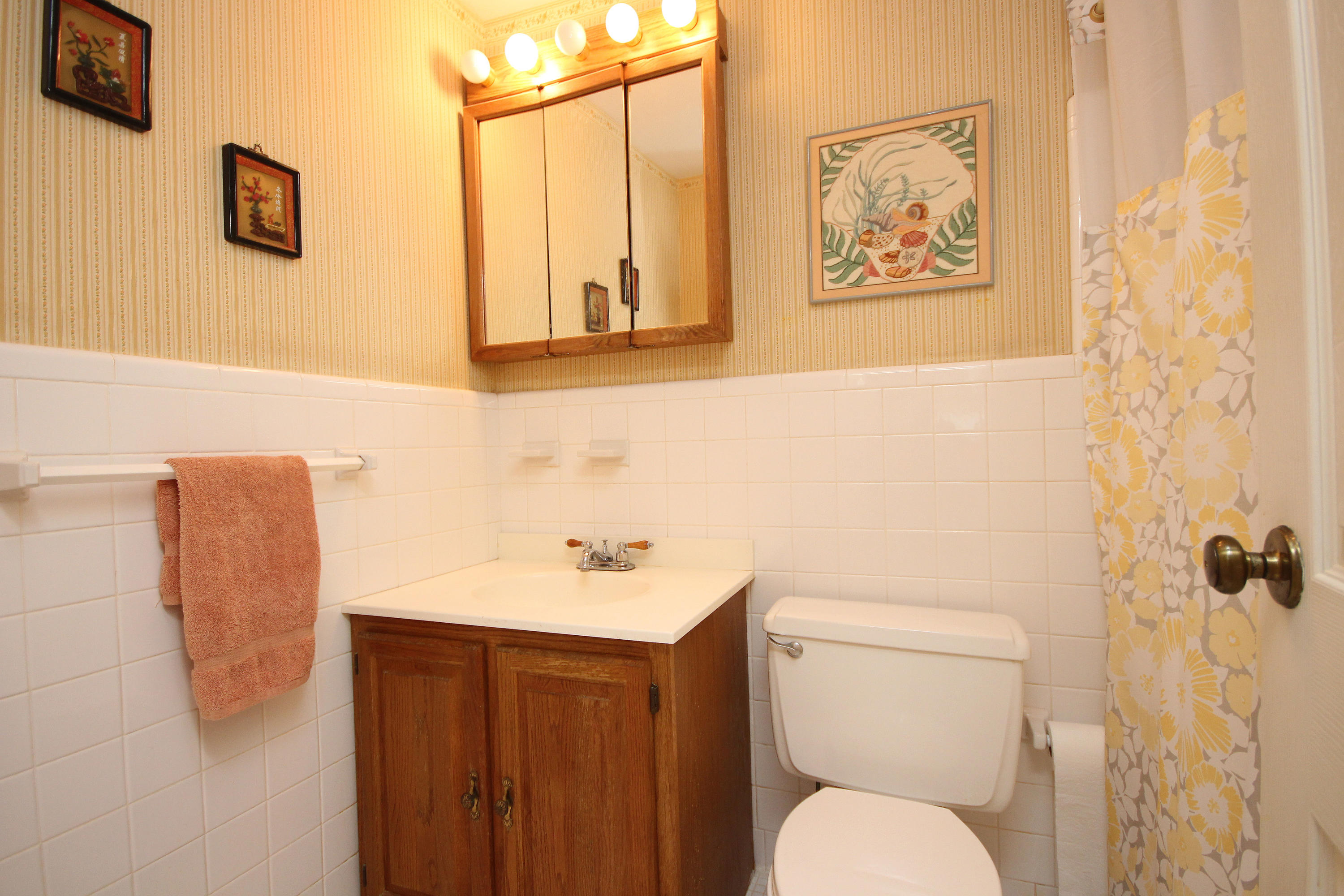 CHELSEA WOODS S/D - Residential