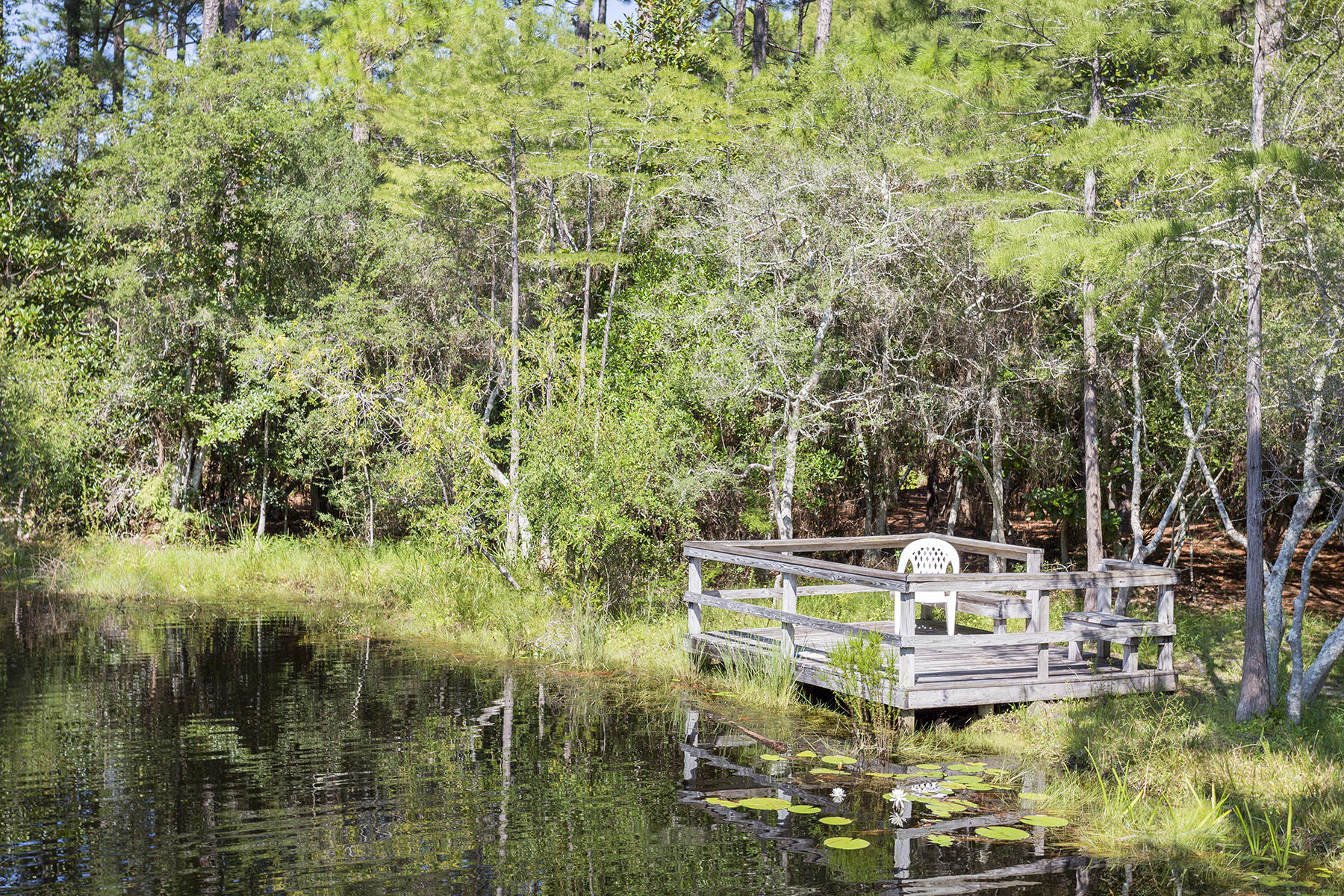 CASSINE GARDENS T/H PH 4 - Residential