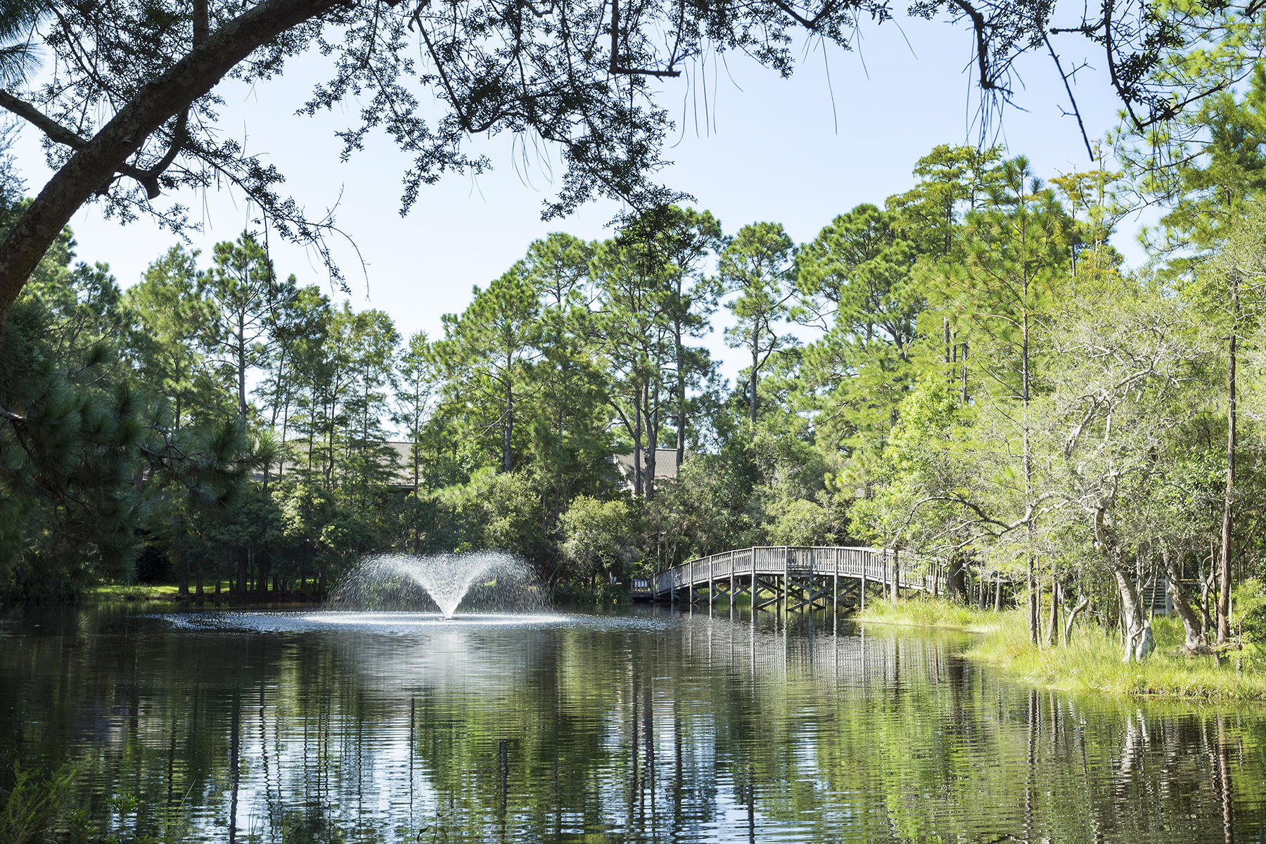 CASSINE GARDENS T/H PH 4 - Residential