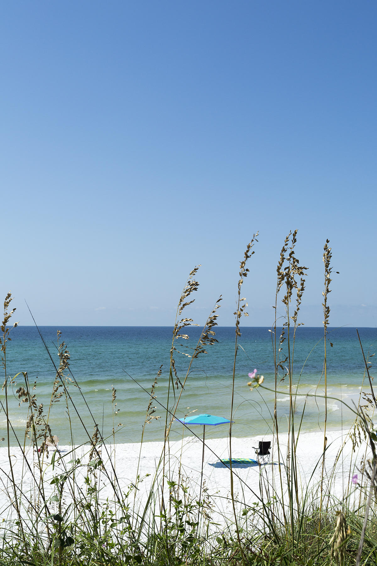 CASSINE GARDENS T/H PH 4 - Residential