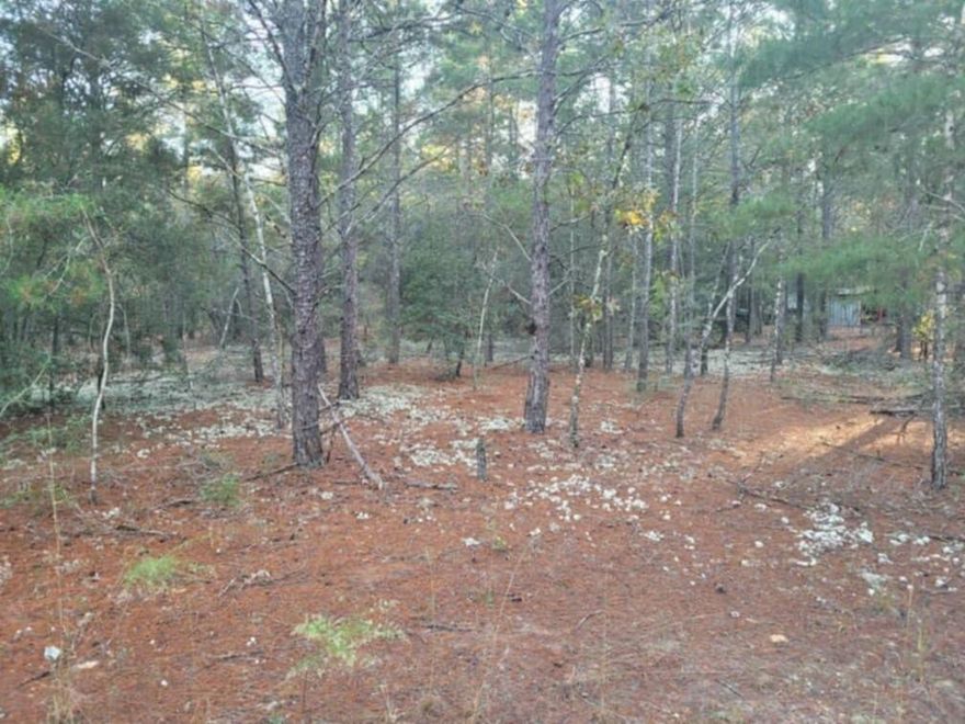 Wood lot in DeFuniak Springs FL and Mossyhead. No HOA. Minimal Restrictions. Modular homes allowed. There are no existing utilities. Well/Power/Septic required. Property is Flood Zone X. Per the Walton GIS mapping, the property does not appear to have wetlands. Easy access to the I-10 & CR 285 south making it a great location for work no matter what direction you need to go! You will be approx. 30-45 mins to most workplaces as as well as the beautiful white sandy beaches of Florida famous Emerald Gulf Coast and Crab Island. Buyer needs to verify building codes, zoning regulations, wetlands and flood zones, etc with proper local authorities to ensure buyer will be able to utilize the property for intended use. Information contained within this listing is deemed to be accurate but is not guaranteed.