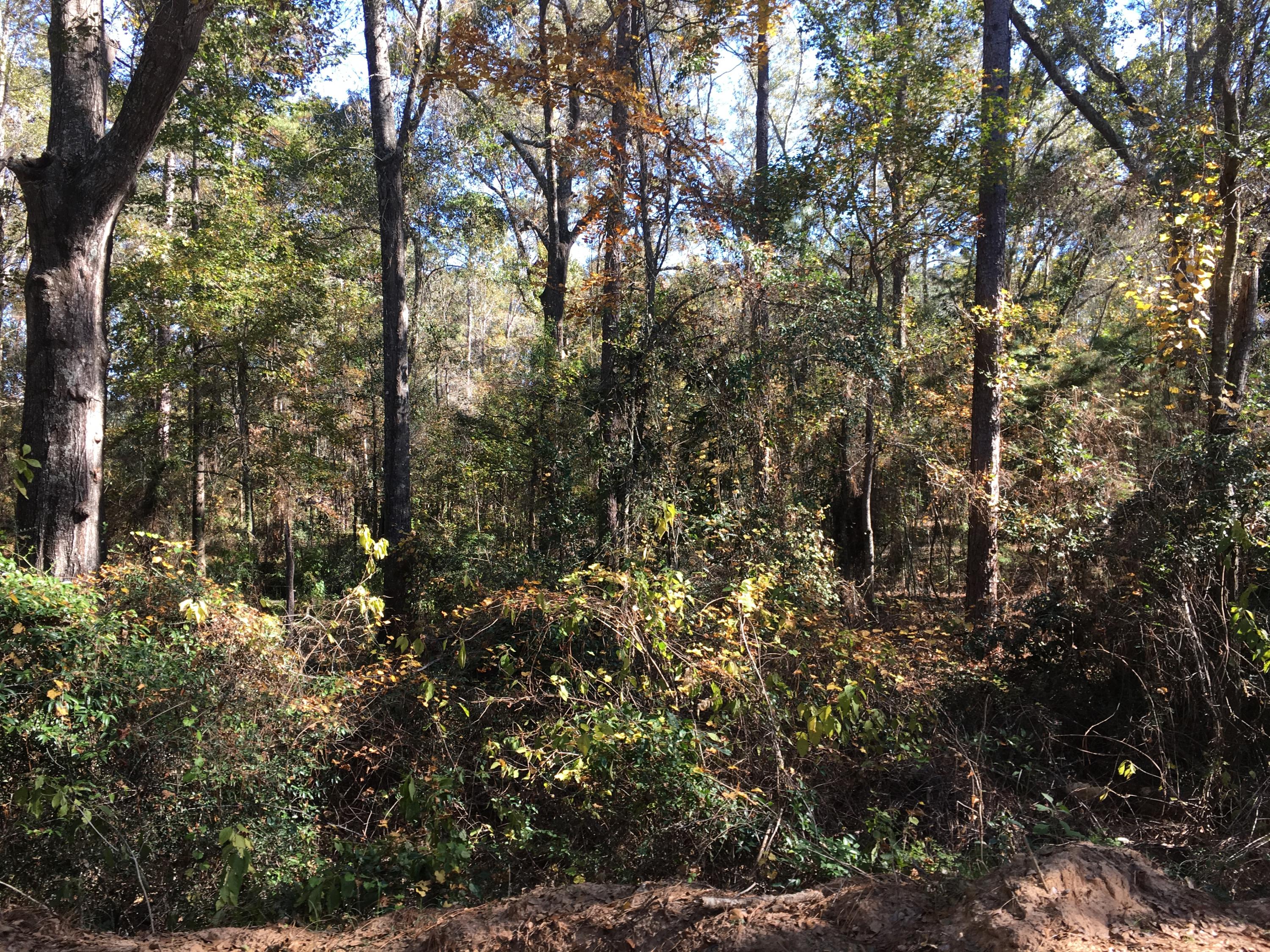 lipford - Residential