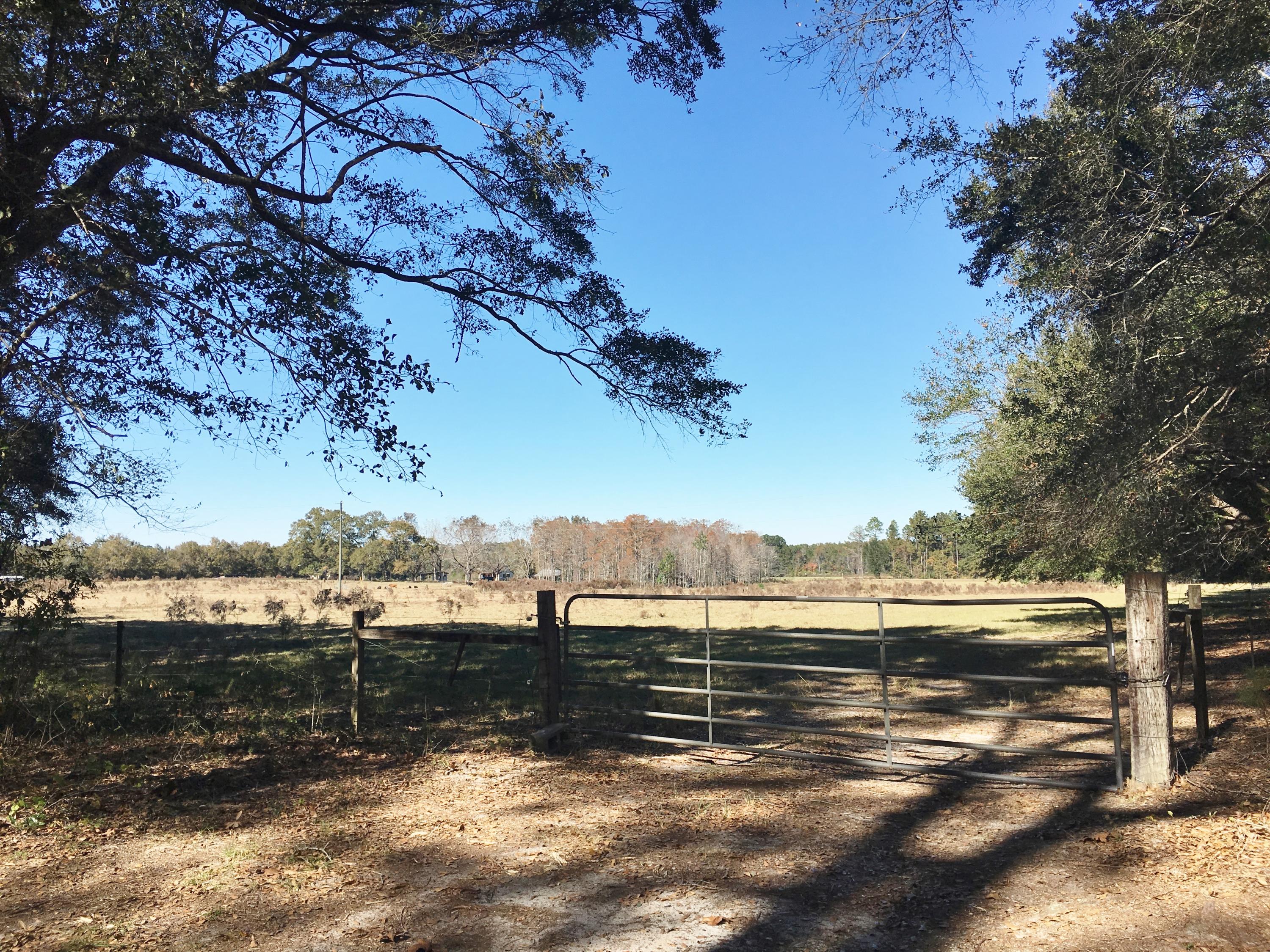 lipford - Residential