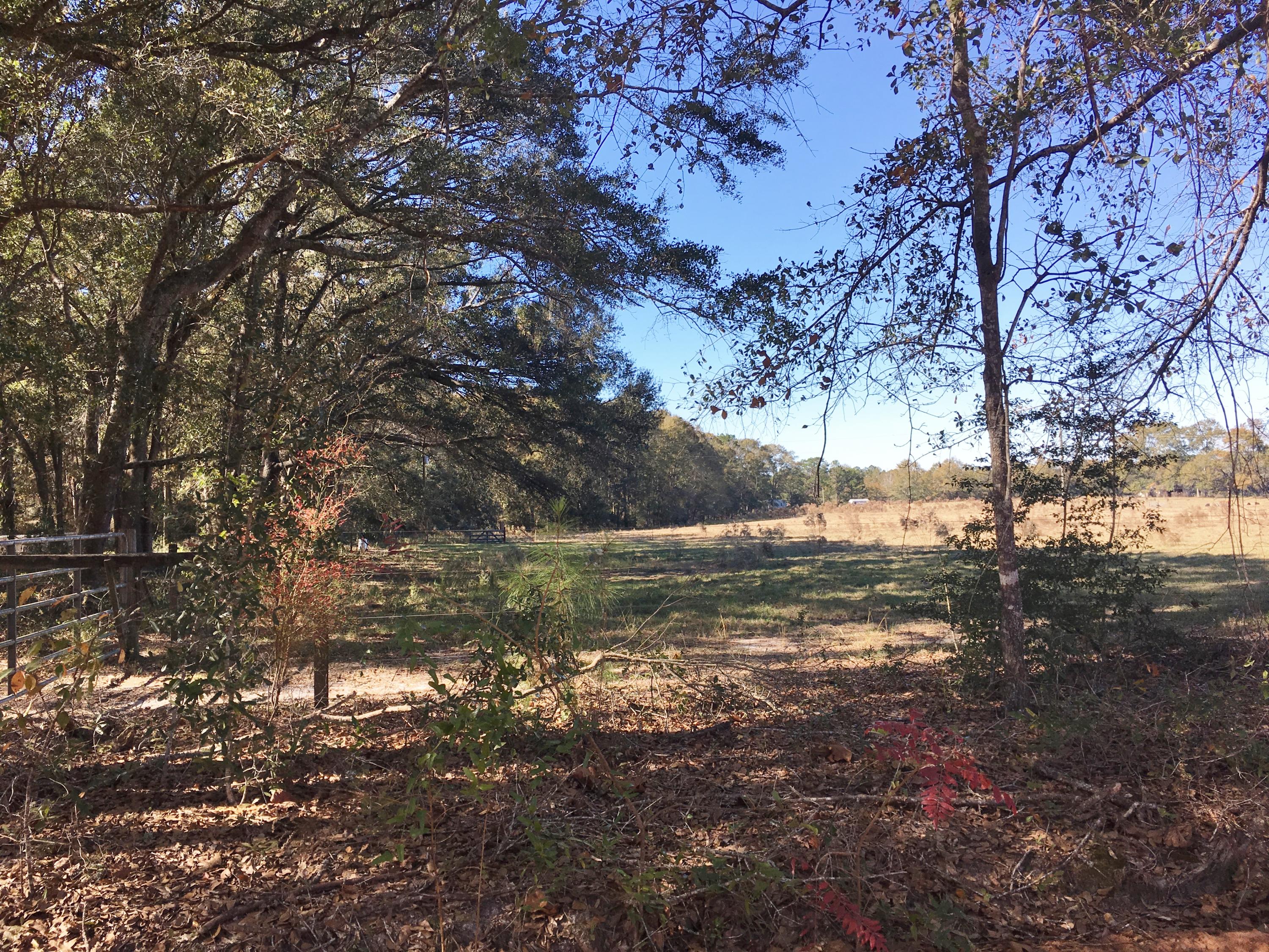 lipford - Residential