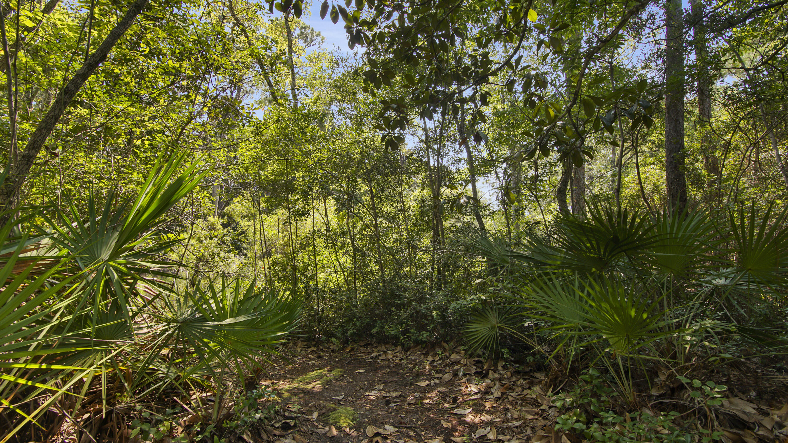 EDEN BAY ESTATES - Residential