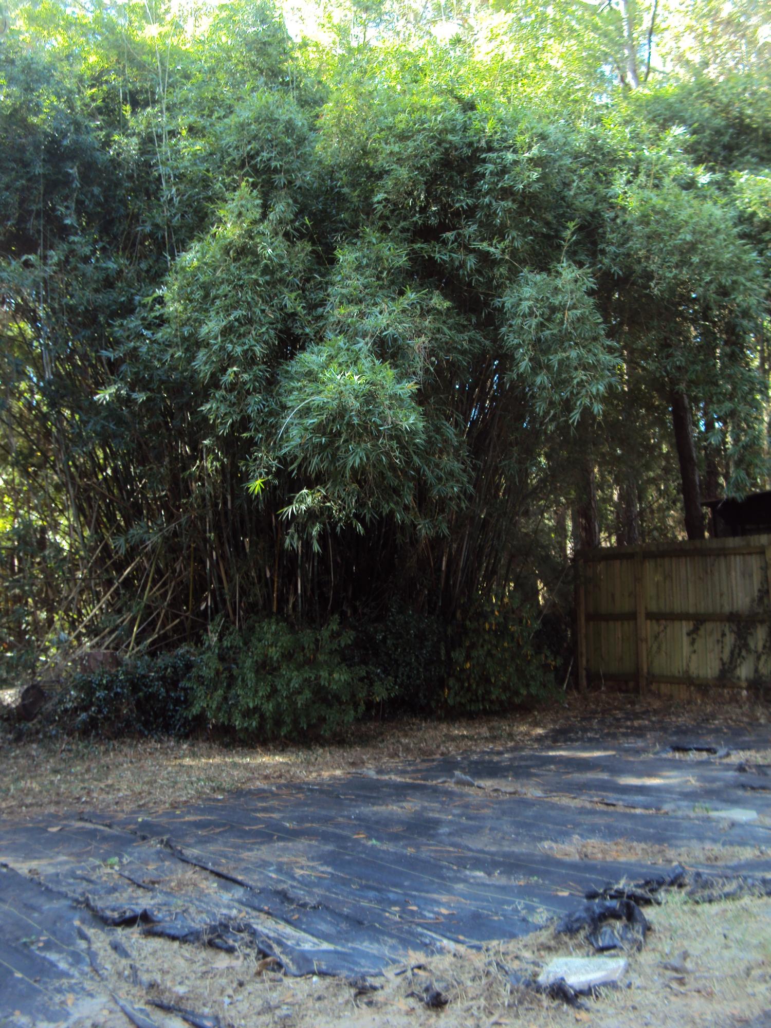 MAGNOLIA CREEK PHASE 1 - Residential