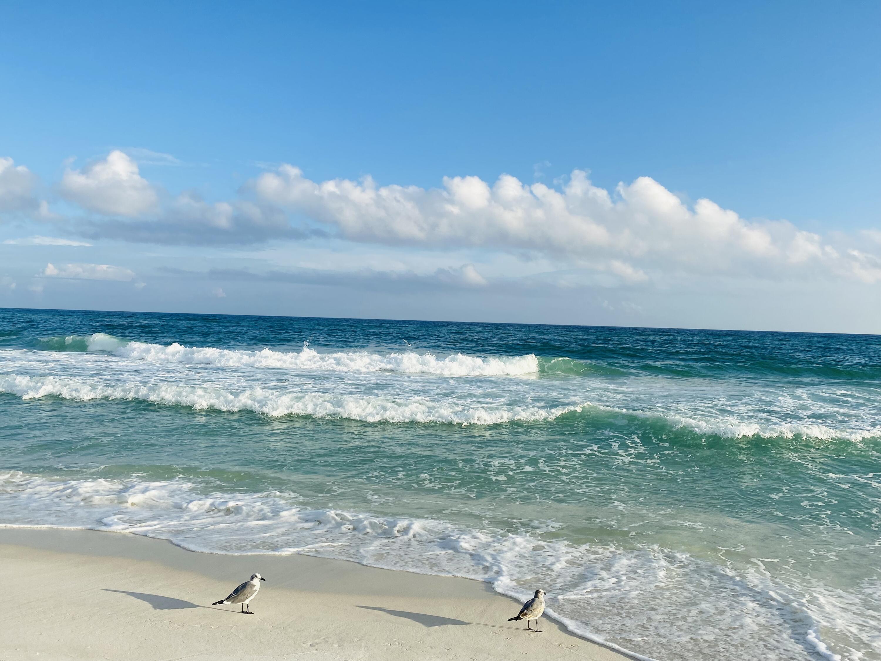 HOLIDAY SURF & RACQUET - Residential