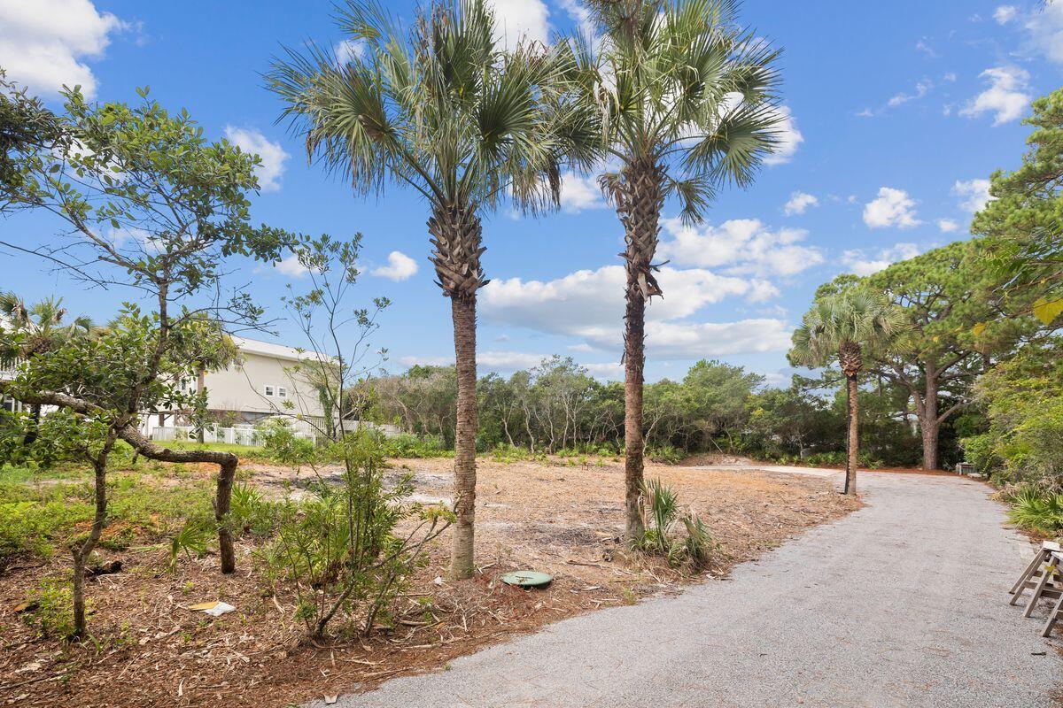 GROVE BY THE SEA - Land