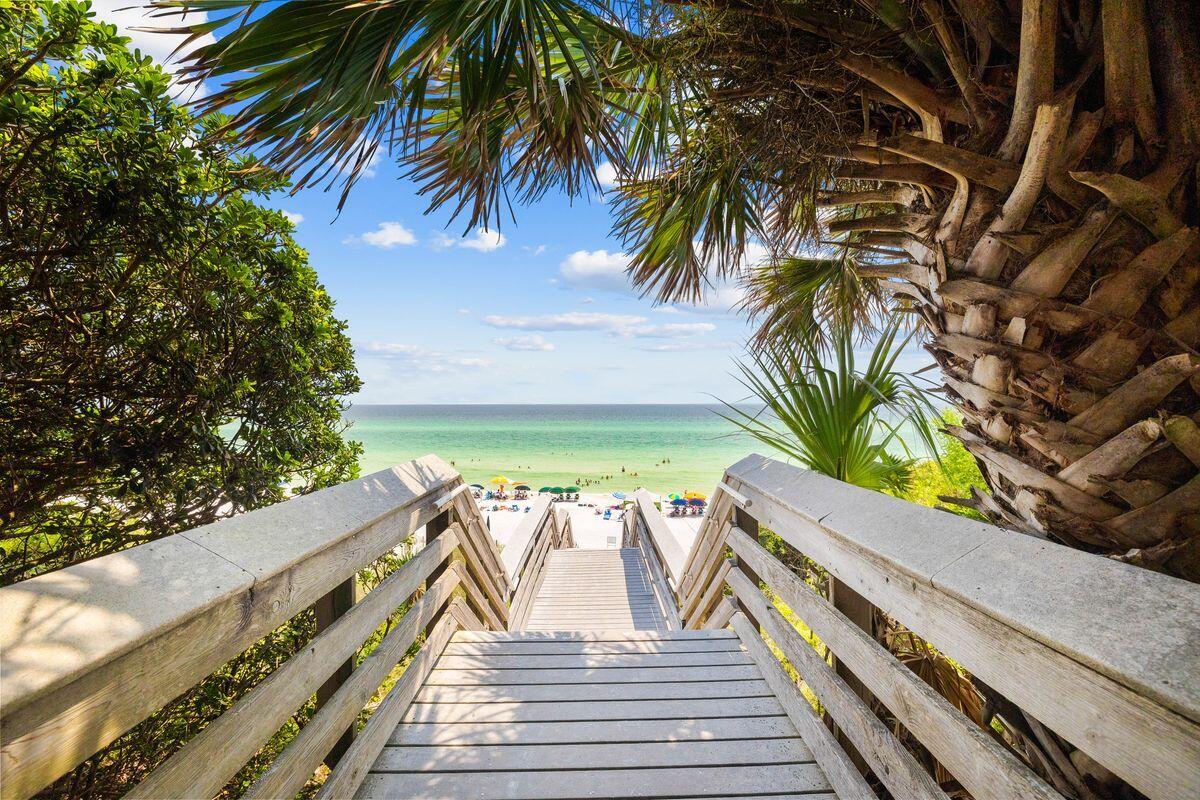 GROVE BY THE SEA - Land