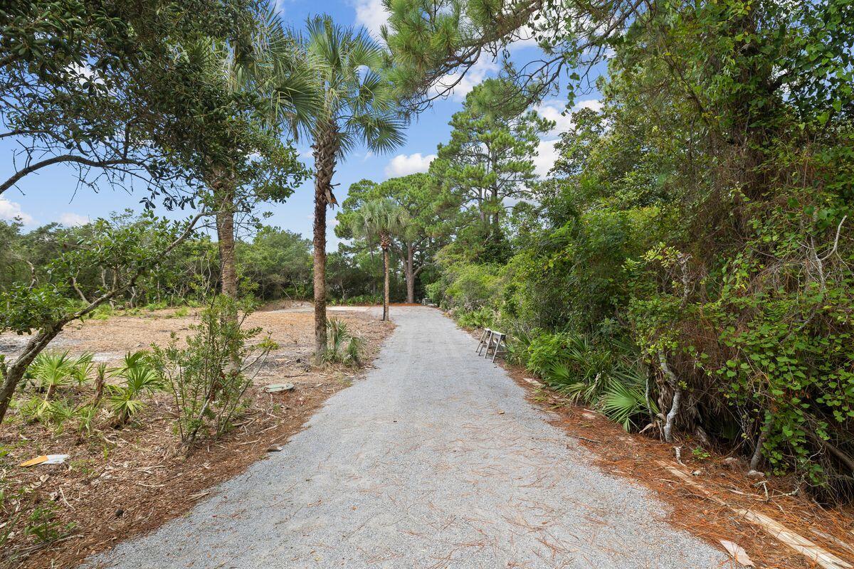 GROVE BY THE SEA - Land