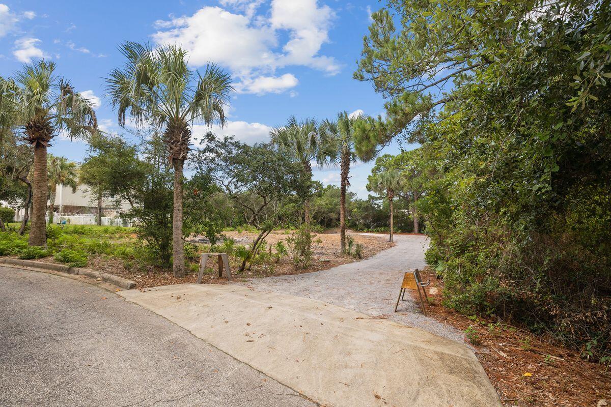 GROVE BY THE SEA - Land