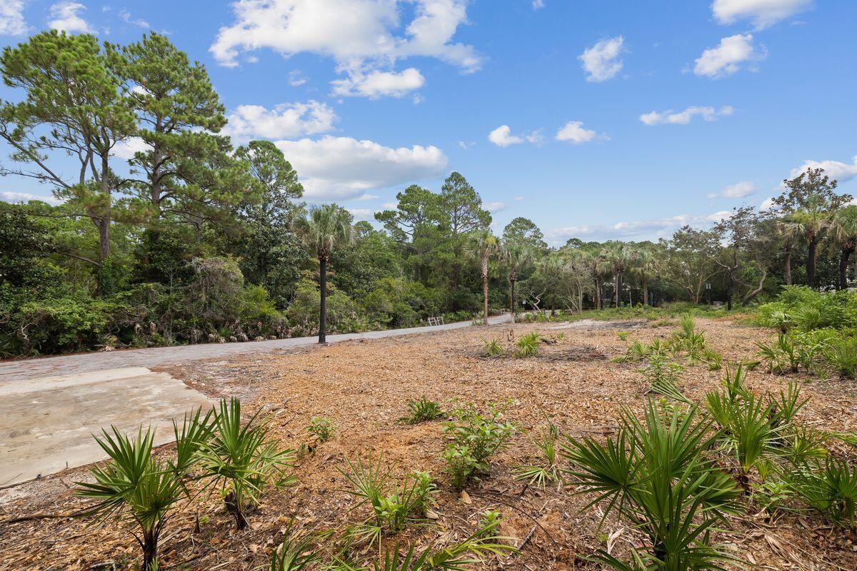 GROVE BY THE SEA - Land