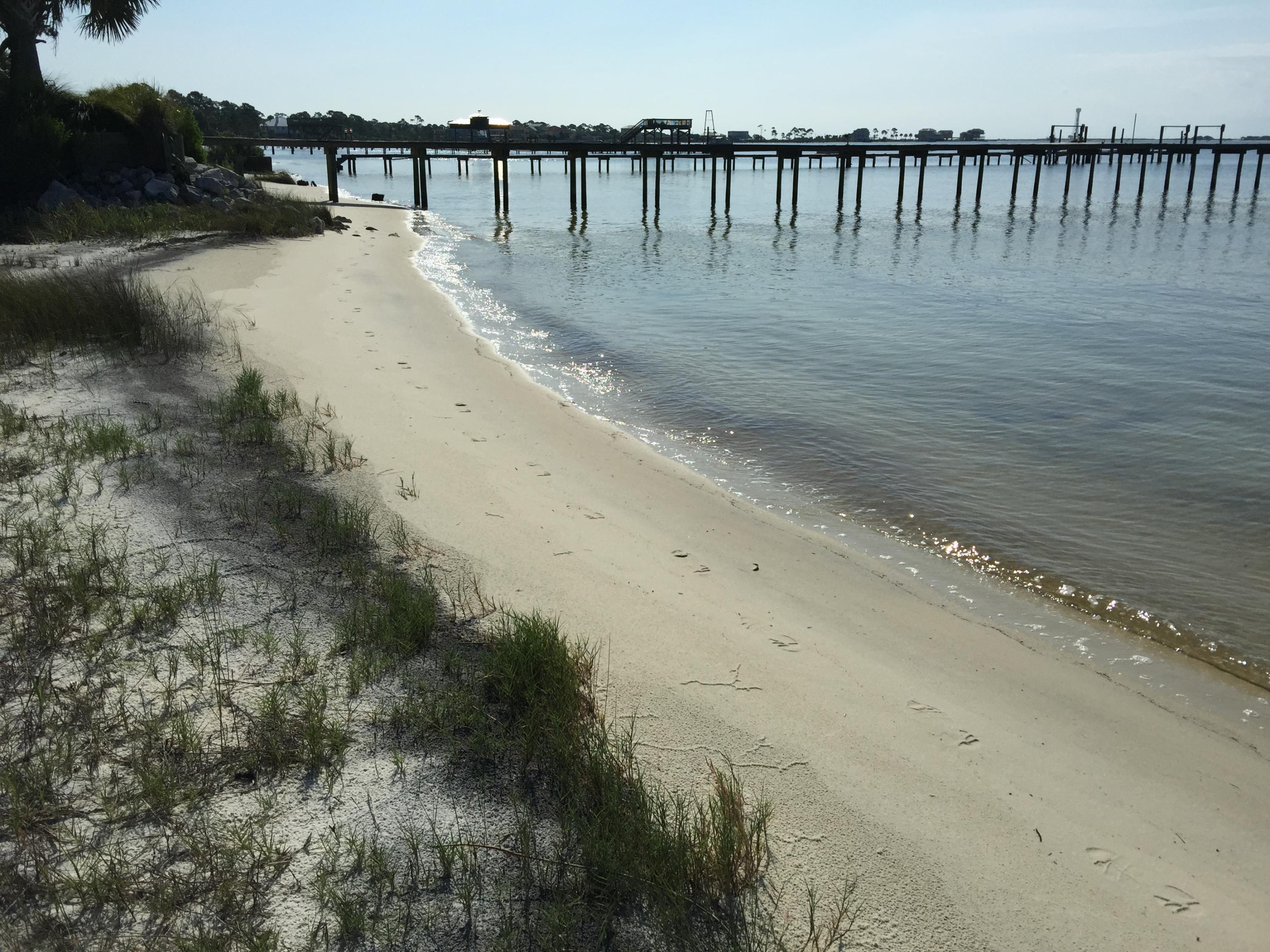PRITCHARD POINT - Land