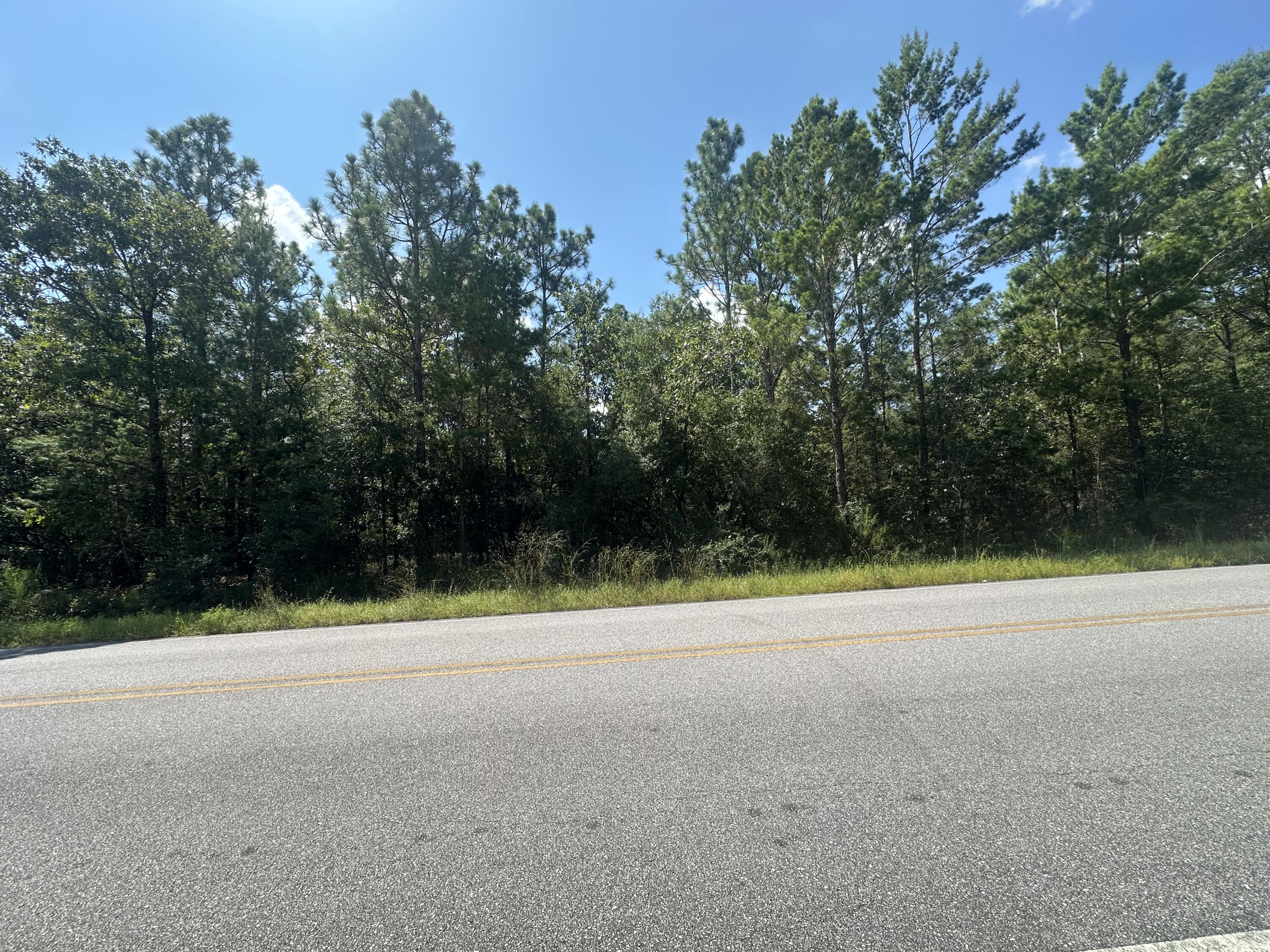 Welcome to ''Goat Hill Haven'' - 4.4 acres of beautifully wooded, buildable land. Just a short drive to historic Lake DeFuniak. You'll experience a vibrant blend of small-town charm, culture, and nature. Create a long, private driveway as it gently curves through the trees, opening up to a beautifully wooded homesite with plenty of space to build your dream retreat. Dotted with just a few neighboring homes, you'll enjoy the serenity of rural living without feeling completely off the grid.Community Events:LakeFest: A beloved annual festival held at Lake Defuniak features fish fries, paddleboard races, cardboard boat challenges, inflatable duck races, a car show, live entertainment, food vendors, and kids' activities.