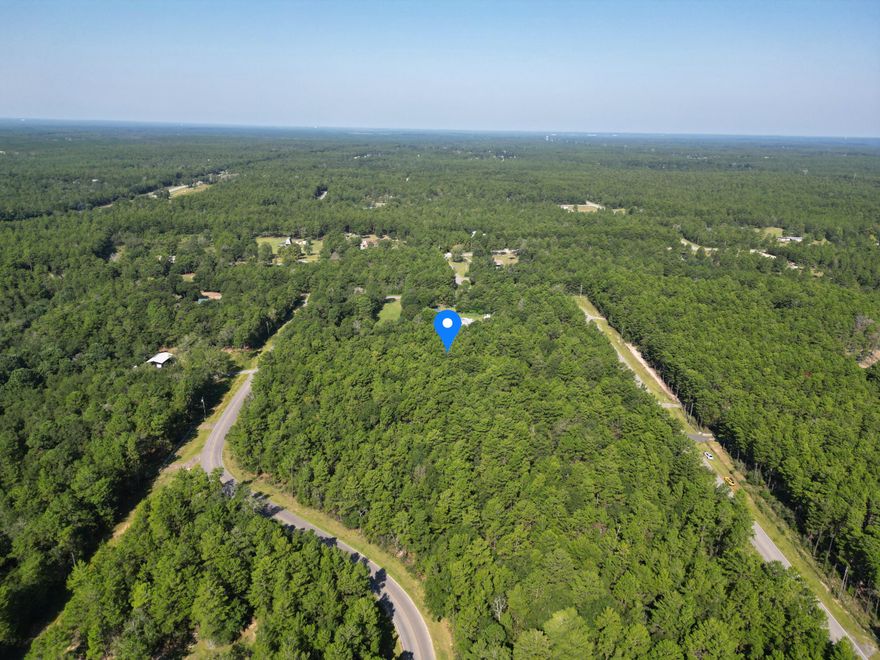 Welcome to ''Goat Hill Haven'' - 4.4 acres of beautifully wooded, buildable land. Just a short drive to historic Lake DeFuniak. You'll experience a vibrant blend of small-town charm, culture, and nature. Create a long, private driveway as it gently curves through the trees, opening up to a beautifully wooded homesite with plenty of space to build your dream retreat. Dotted with just a few neighboring homes, you'll enjoy the serenity of rural living without feeling completely off the grid.Community Events:LakeFest: A beloved annual festival held at Lake Defuniak features fish fries, paddleboard races, cardboard boat challenges, inflatable duck races, a car show, live entertainment, food vendors, and kids' activities.
