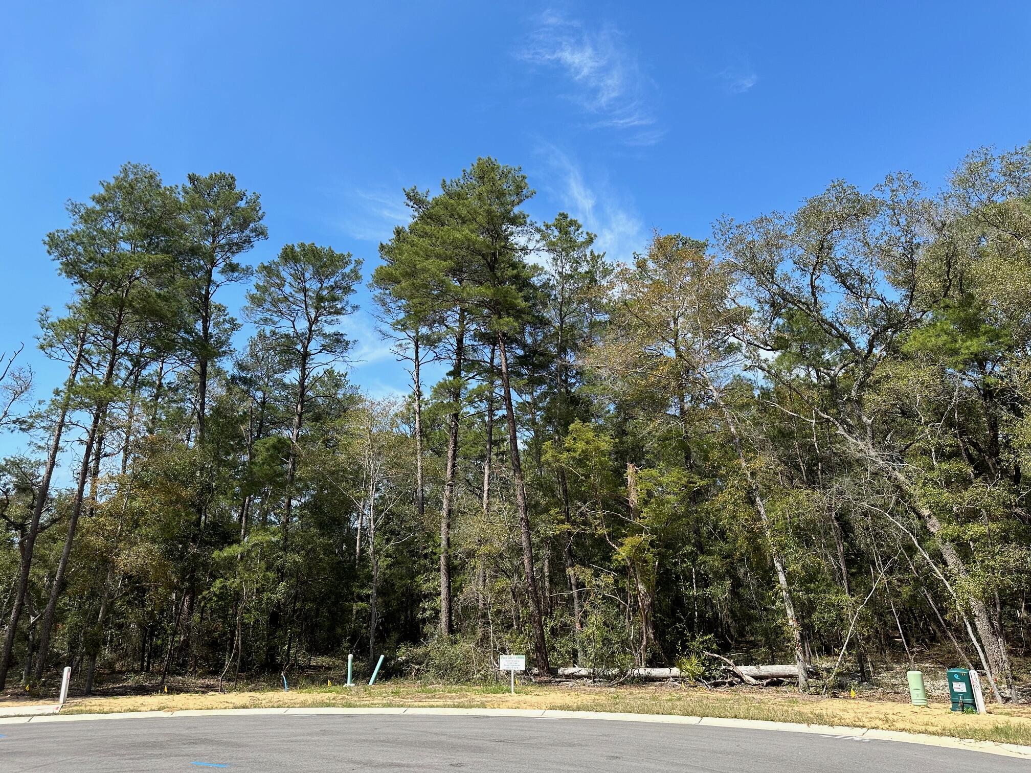 Cul-de-sac lot in desirable Deer Moss Creek(r)! This is one of only 12 large, flat lots developed in DMC Phase 7A. The cul-de-sac lots vary in size between 0.49 to 0.78 acres. If you're looking for an estate-sized lot in Niceville for your custom home, this is it. Deer Moss Creek(r) is an 1,100-acre, master-planned, mixed-use community in Niceville, FL. The west side of this lot borders a 30' natural wooded buffer. Community plans include a nature trail, bike lanes, parks, pools, office and retail space.Sidewalks are 5' wide and home plans must be approved by the Town Architect. Don't miss this opportunity to purchase almost a .5 acre lot in DMC and be able to select from our 13 fabulous builders to build your dream home! Plenty room for a pool as well. Call me for more info 850.218.4618.