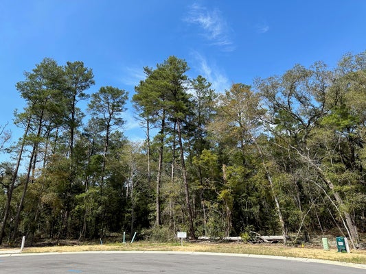524 CARIBOU CT, NICEVILLE, FL 32578 - Image ff899bc81c05f6aedc15c5b3e0b2dbe0/2398735029