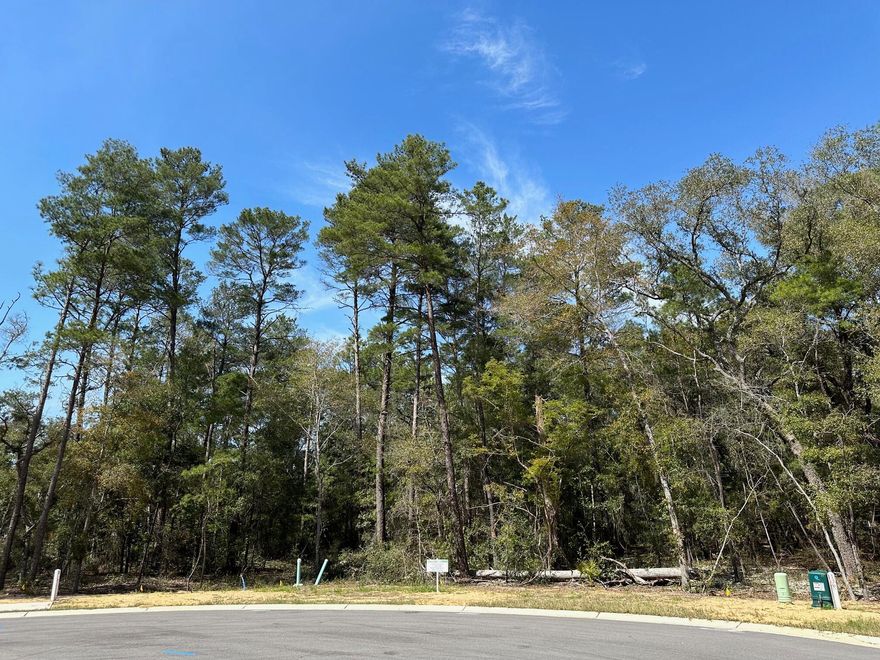 Cul-de-sac lot in desirable Deer Moss Creek(r)! This is one of only 12 large, flat lots developed in DMC Phase 7A. The cul-de-sac lots vary in size between 0.49 to 0.78 acres. If you're looking for an estate-sized lot in Niceville for your custom home, this is it. Deer Moss Creek(r) is an 1,100-acre, master-planned, mixed-use community in Niceville, FL. The west side of this lot borders a 30' natural wooded buffer. Community plans include a nature trail, bike lanes, parks, pools, office and retail space.Sidewalks are 5' wide and home plans must be approved by the Town Architect. Don't miss this opportunity to purchase almost  a .5 acre lot in DMC and be able to select from our 13 fabulous builders to build your dream home! Plenty room for a pool as well. Call me for more info 850.218.4618.