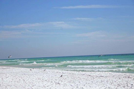 This 2/2 condo is located by the Grande Blvd close to shopping, restaurants and the beautiful beach as well as the bay to paddle board, kayak. This condo would make a great vacation unit or a rental investment. This unit has a new ac unit.