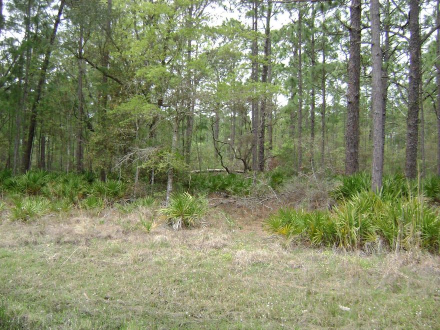 Naturally wooded, beautiful level residential lot on paved road. No restrictions. Utilities, city water.