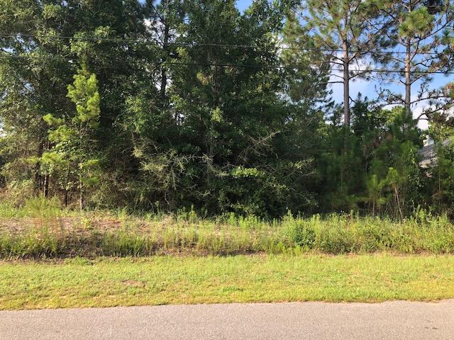 Holley By The Sea - Land