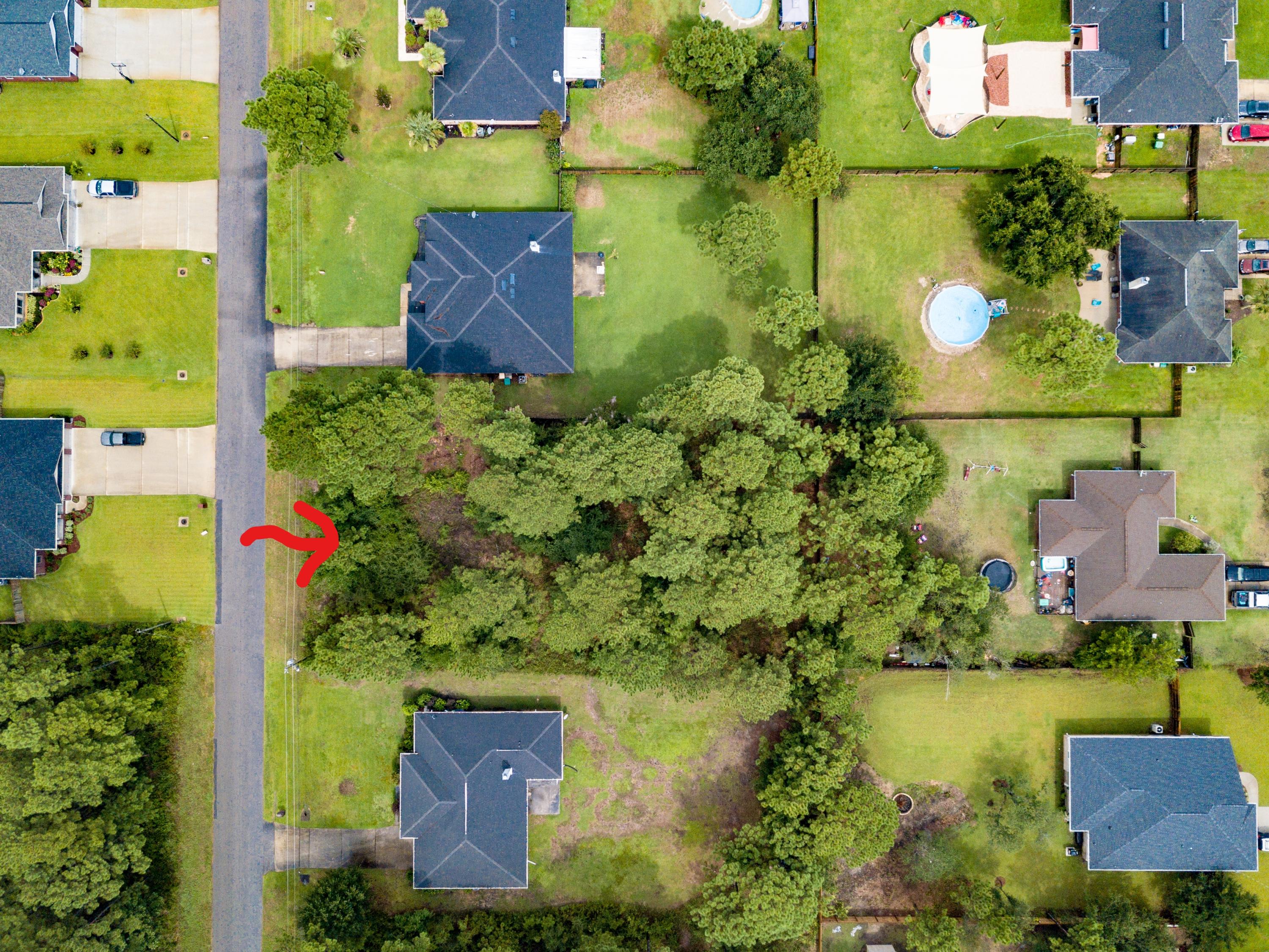 Holley By The Sea - Land