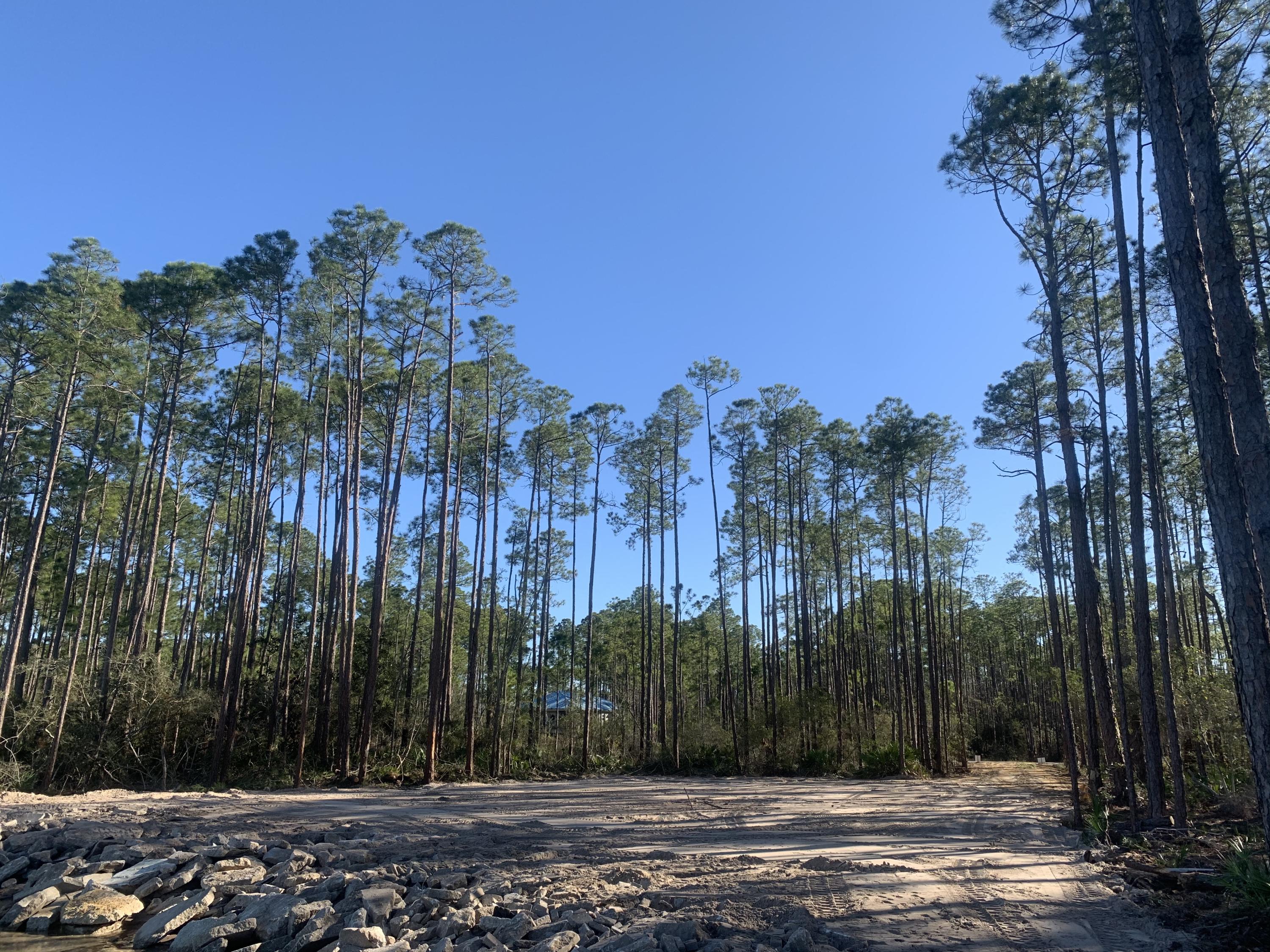 LOT 12 BLK A WHISPERING PINES S/D PB 5-37 OR 906-141 OR 1041-246 OR 1428-257 OR 2995-2825 OR 3016- - Land