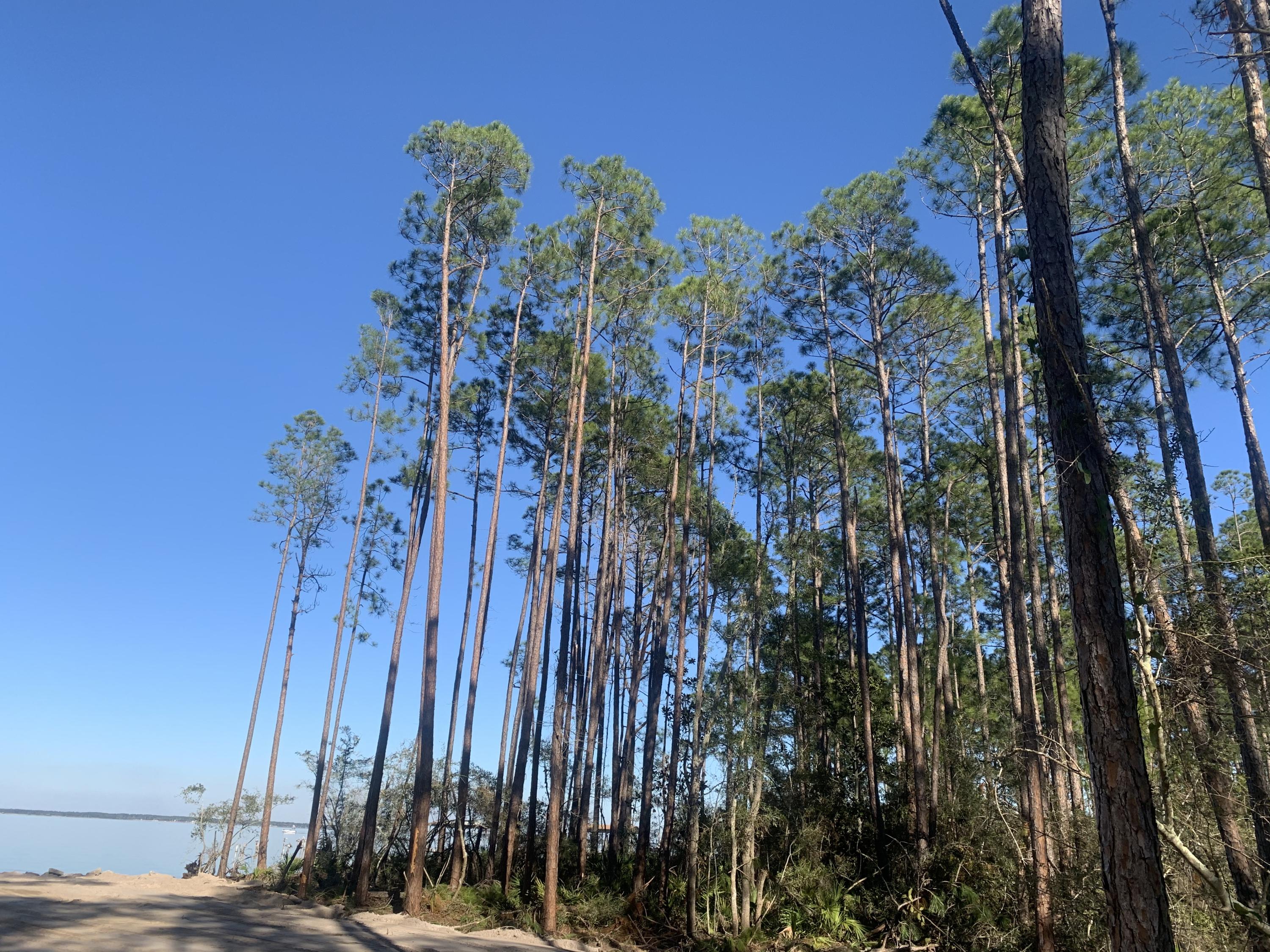 LOT 12 BLK A WHISPERING PINES S/D PB 5-37 OR 906-141 OR 1041-246 OR 1428-257 OR 2995-2825 OR 3016- - Land
